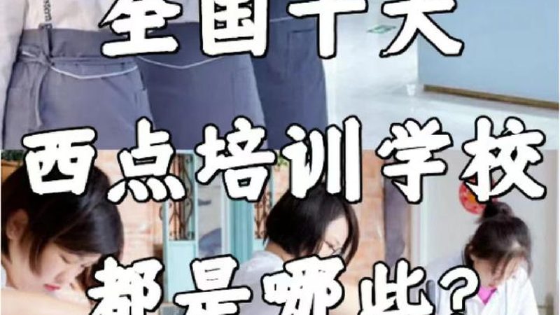 小标题：选择机构，关注这些关键点